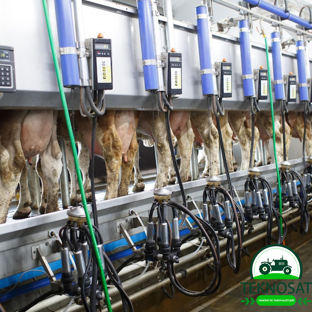 Pipeline Milking Parlour (RTS